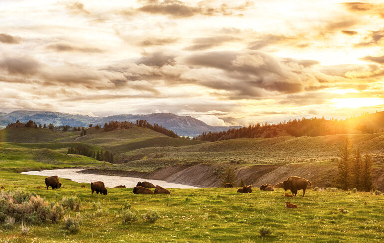 South Yellowstone Slow