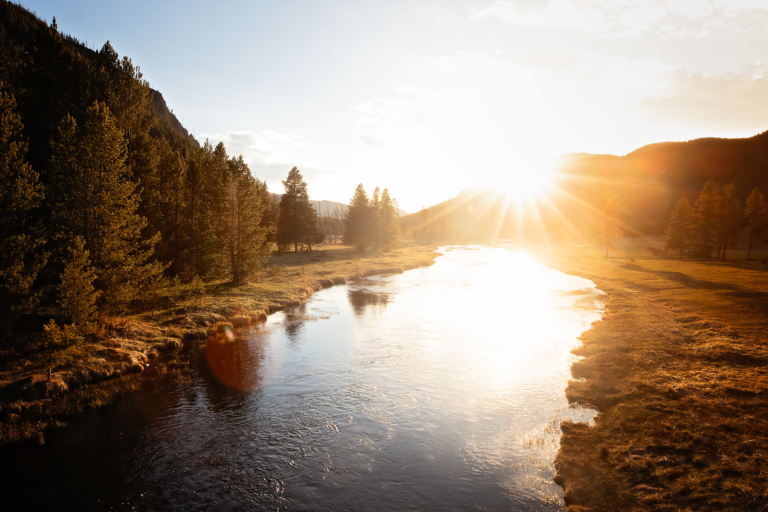 What to Do When Wildlife Is Hard to Find in Yellowstone